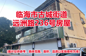 临海市古城街道远洲路236号房屋的租赁权